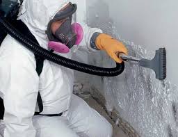 Best Emergency Mold Remediation  in Prosperity, SC